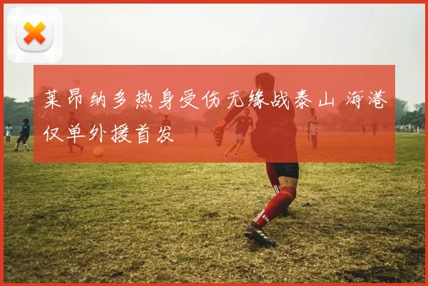 莱昂纳多热身受伤无缘战泰山 海港仅单外援首发