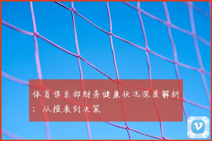 体育俱乐部财务健康状况深度解析：从报表到决策
